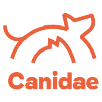 Canidae Puppy